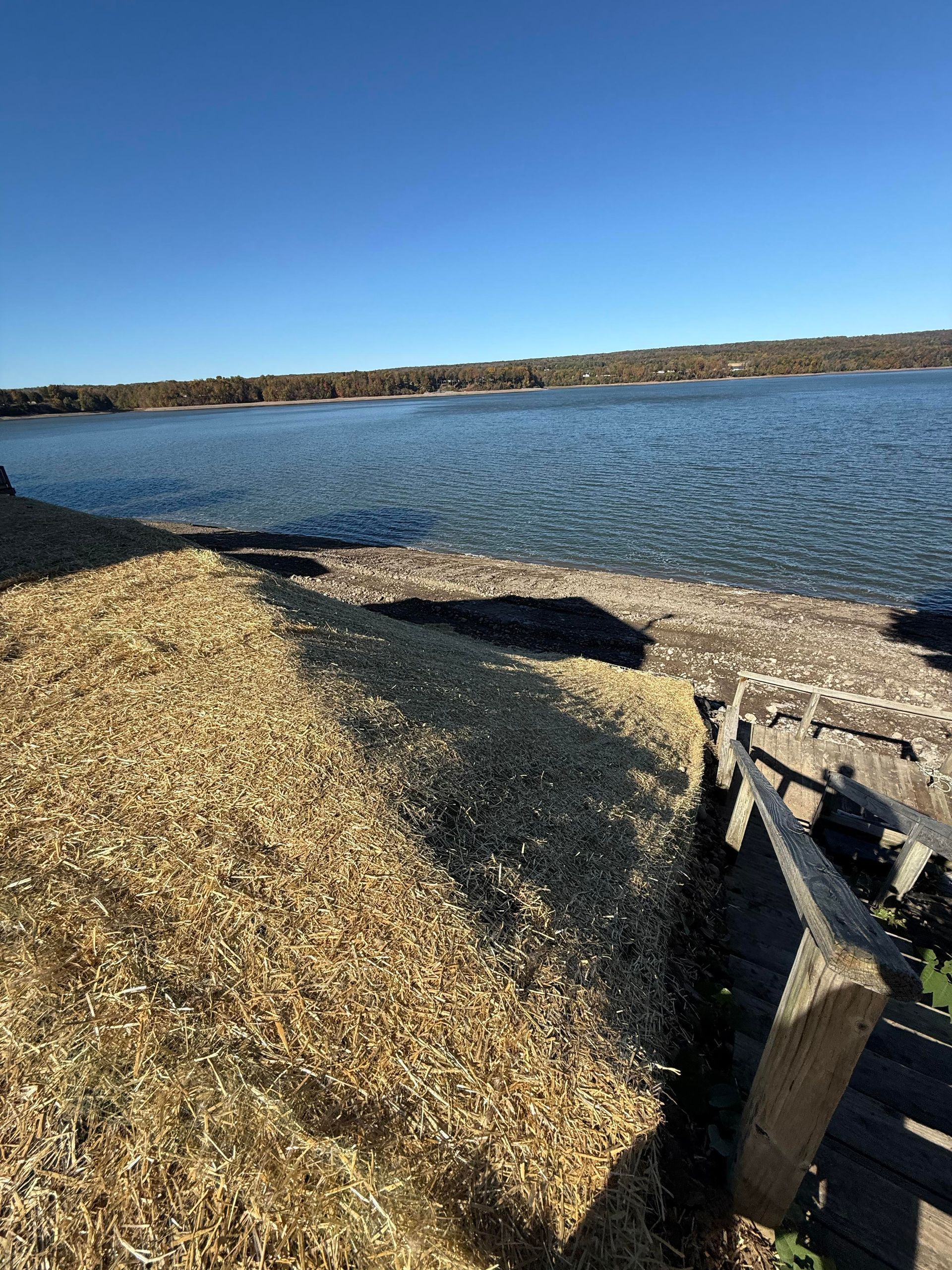 Wooden stairs lead to a lake's edge covered in wood chips, with a blue sky above.