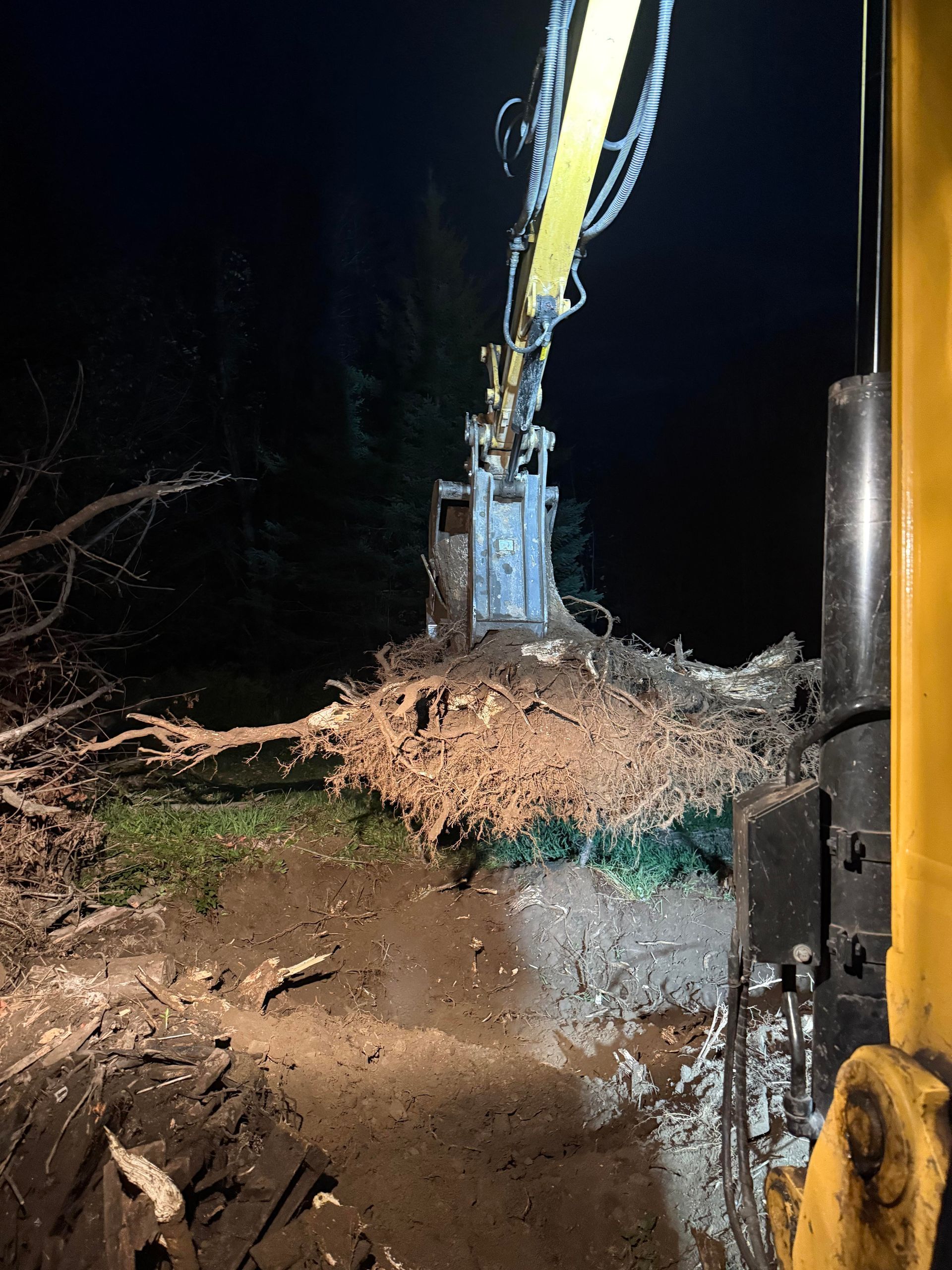 Excavator removing tree roots at night. Yellow arm and claw over brown roots and dark soil.