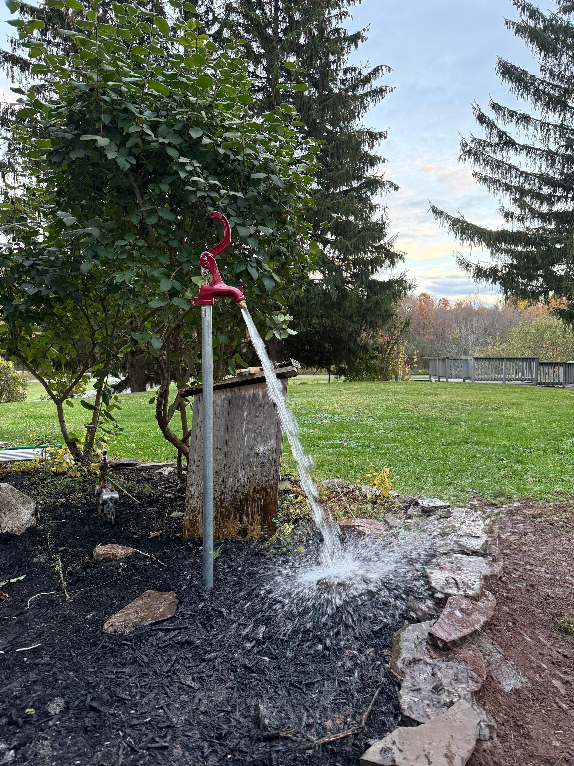 Red fire hydrant spurting water into a garden bed with black mulch and stone edging, surrounded by grass and trees.