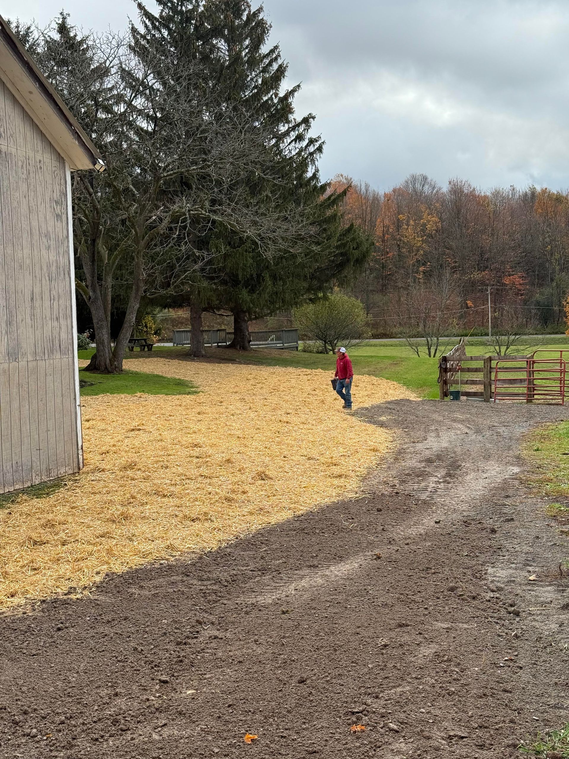 Person walking on a gravel path near a building, trees, and wooden fence on a cloudy day.