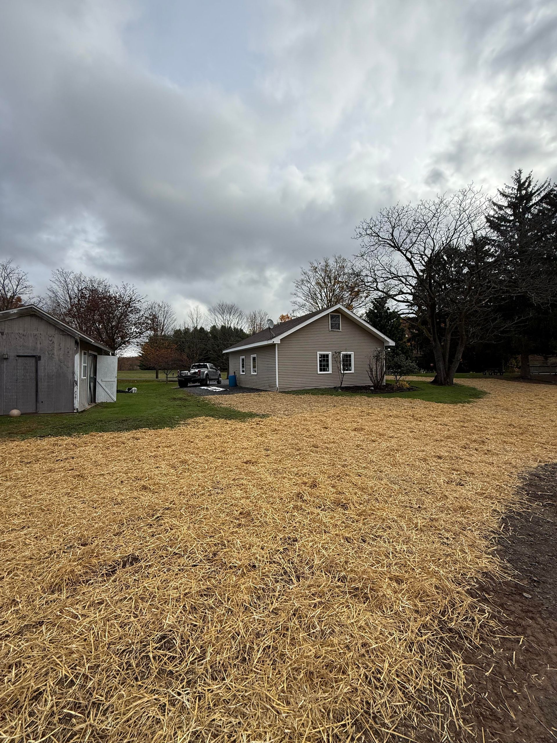 A small gray house on a field covered in wood chips under a cloudy sky.