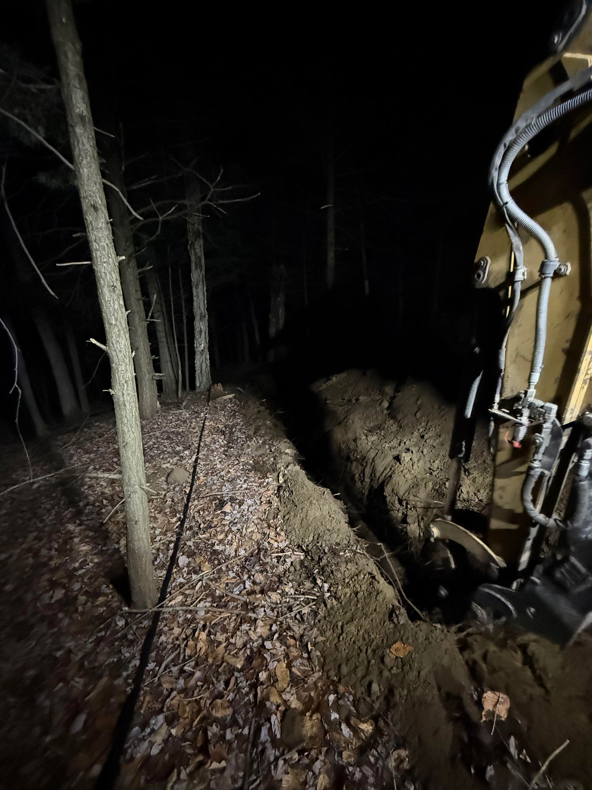 Excavator digging a trench in a dark forest at night. Ground covered in leaves, trees lining the edge.