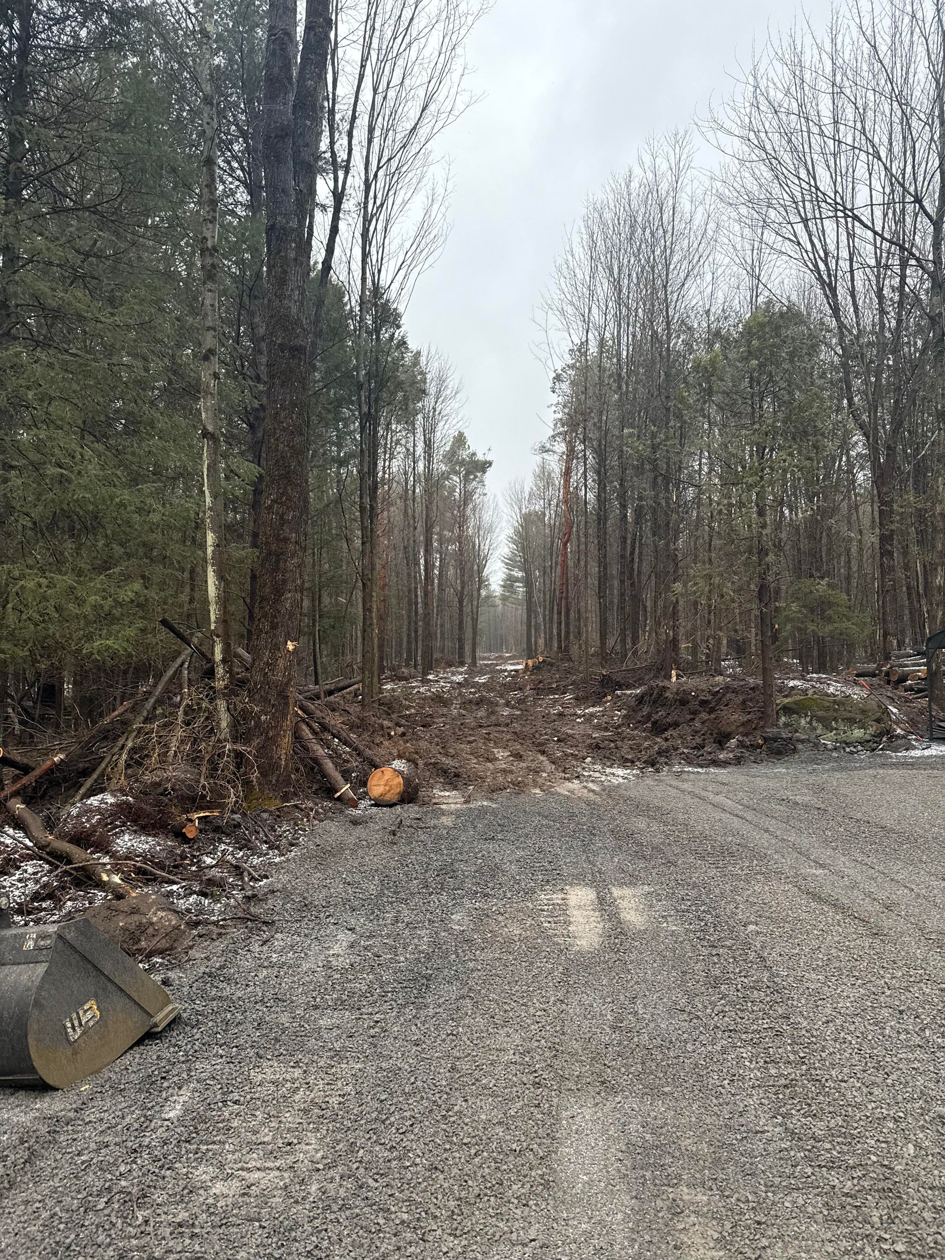 Gravel road blocked by fallen branches and trees. Forest surrounds a snowy, overcast day.