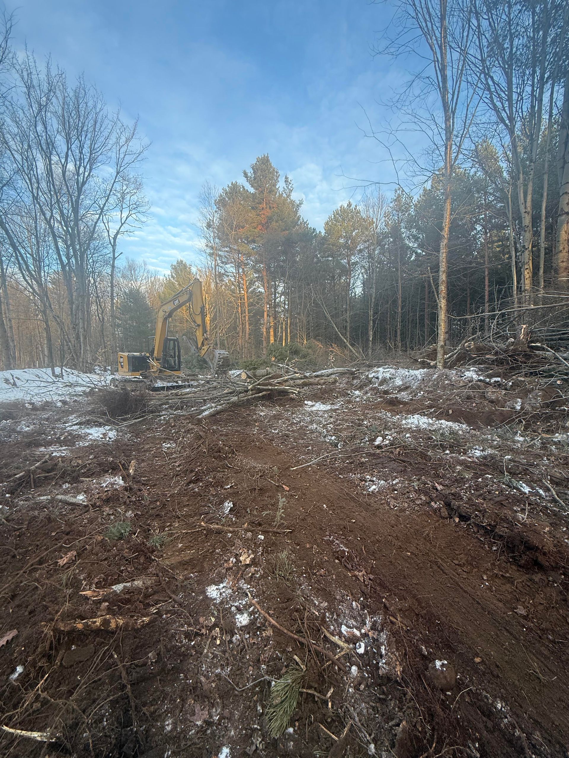 Cleared land with dirt and snow in front of a forest, under a partly cloudy sky.