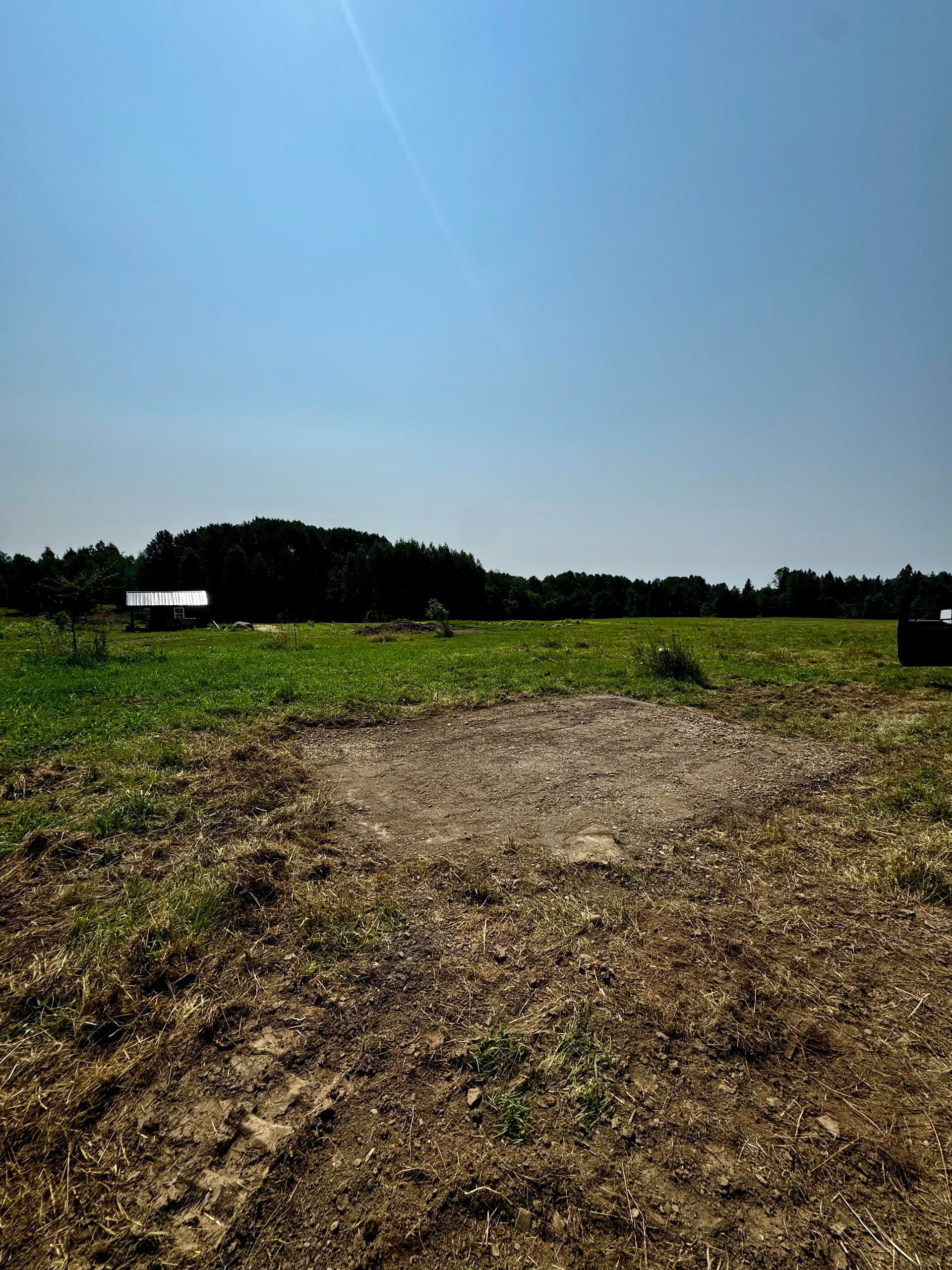Grassy field with a gravel patch, trees in the distance, and a bright blue sky overhead.