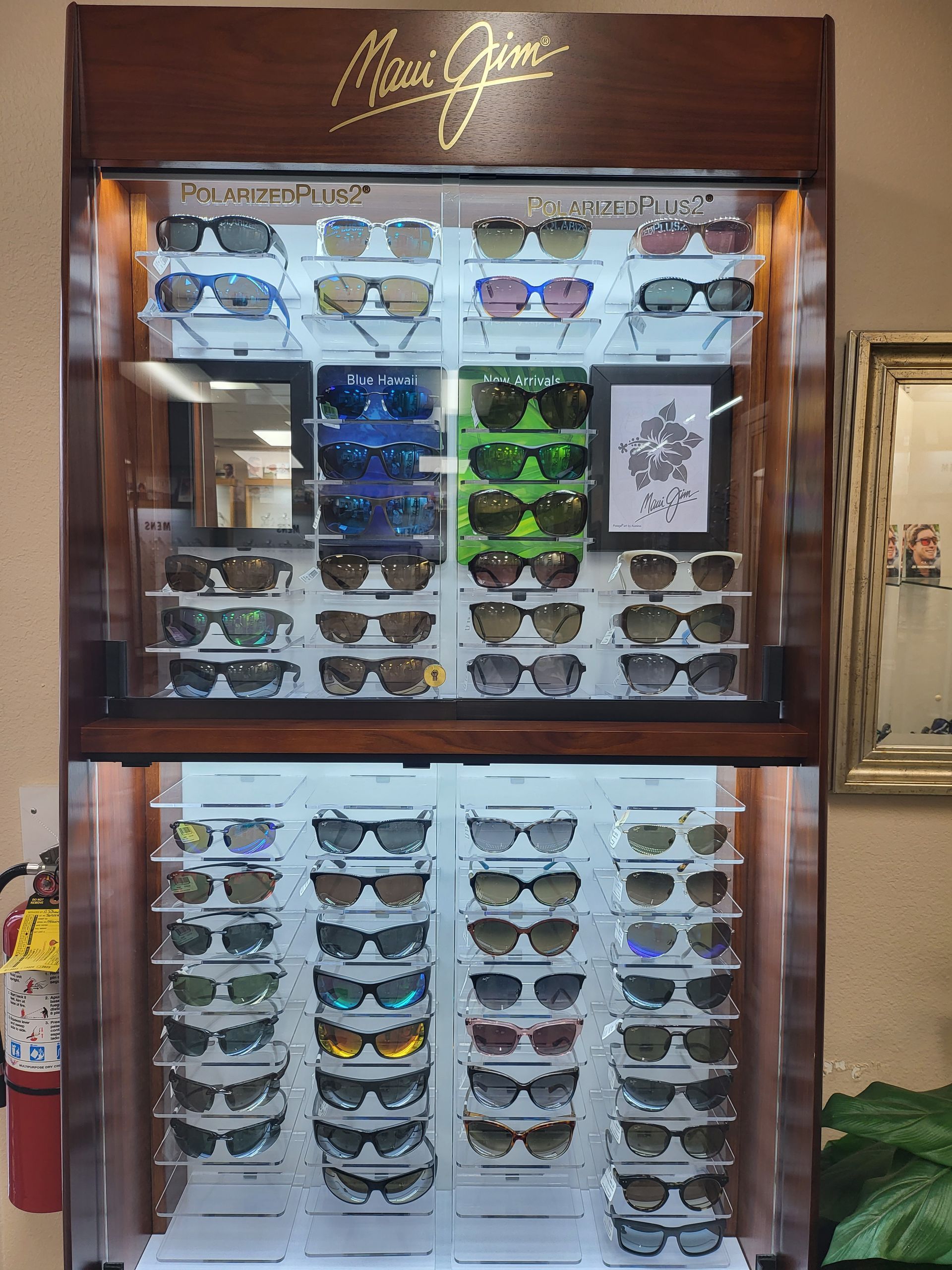 Eyeglasses in Store Rack