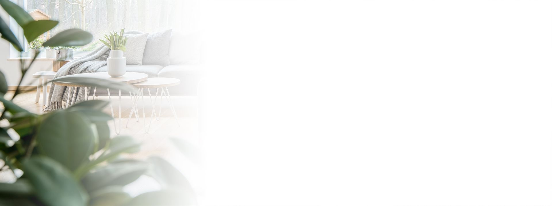 Il y a une plante au premier plan et un salon en arrière plan.