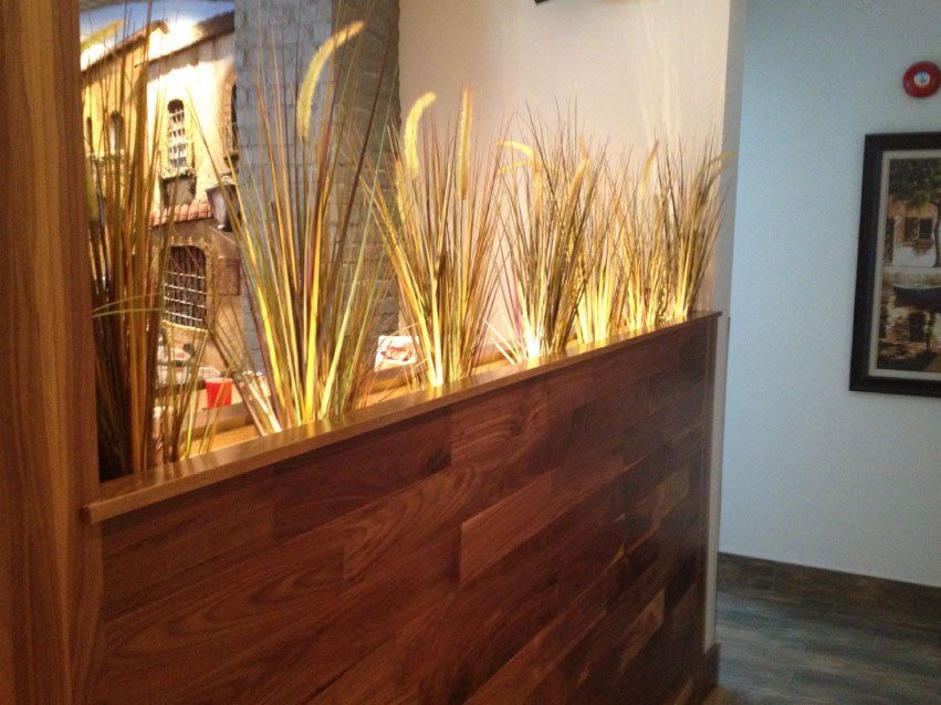 Un mur en bois avec des plantes qui poussent dessus