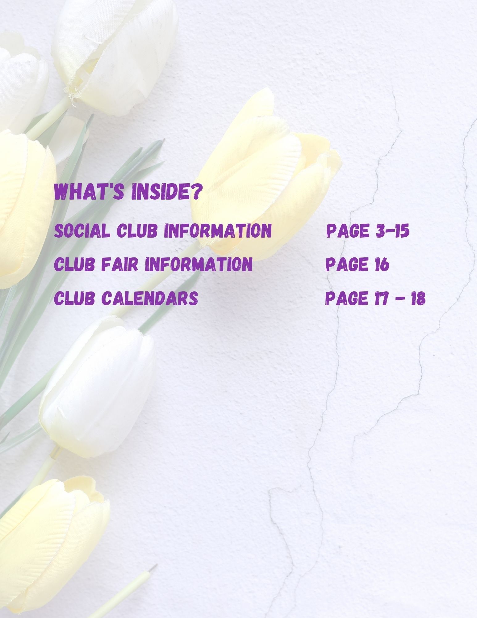 A message from lifestyle with a contact information for laura