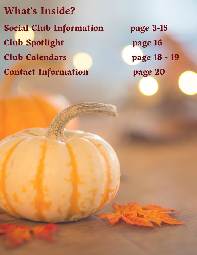 A message from lifestyle with a contact information for laura