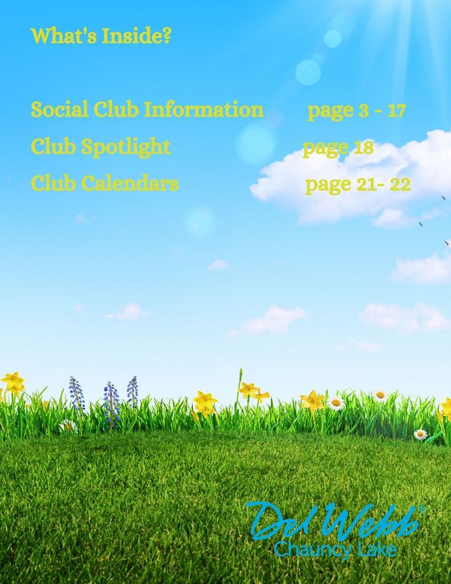 A blue background with gold stars and the words what 's inside