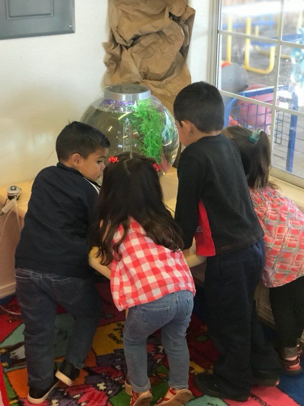 Pre School - in Bilingual School Albuquerque, NM