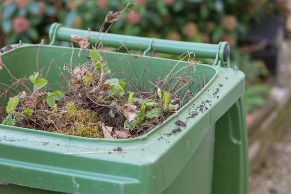 A Green Trash Can Filled With Leaves and Branches — Bin in a Bath in Saint Albans Park, VIC