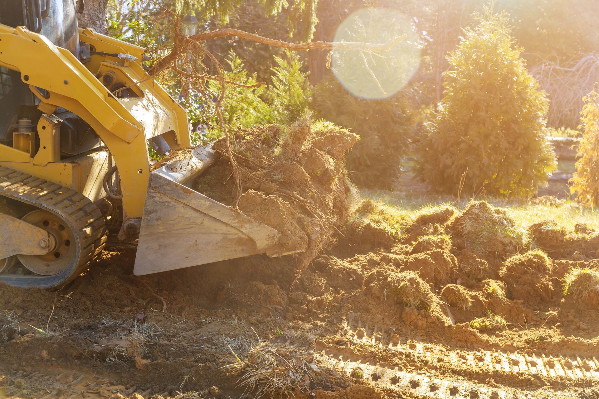 Yellow skid steer scoops dirt near trees. Sunlit setting.