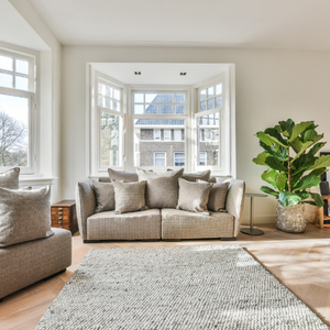 Bright living room with beige sofa, bay windows, light rug, and large potted plant.
