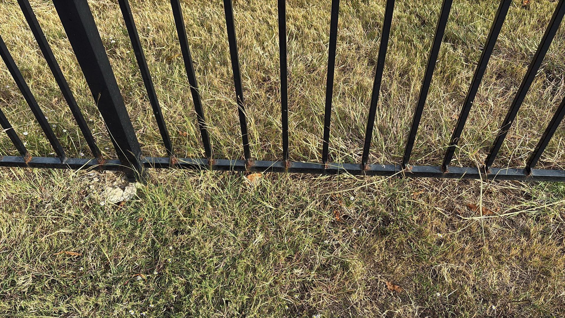 Black metal fence against dry, brown grass.