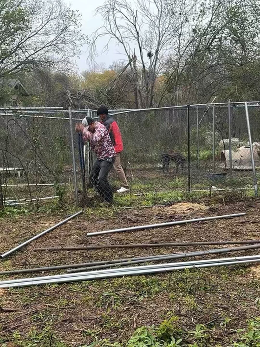 Two people working on a chain-link fence outdoors; one pushing a gate open, metal bars on the ground.