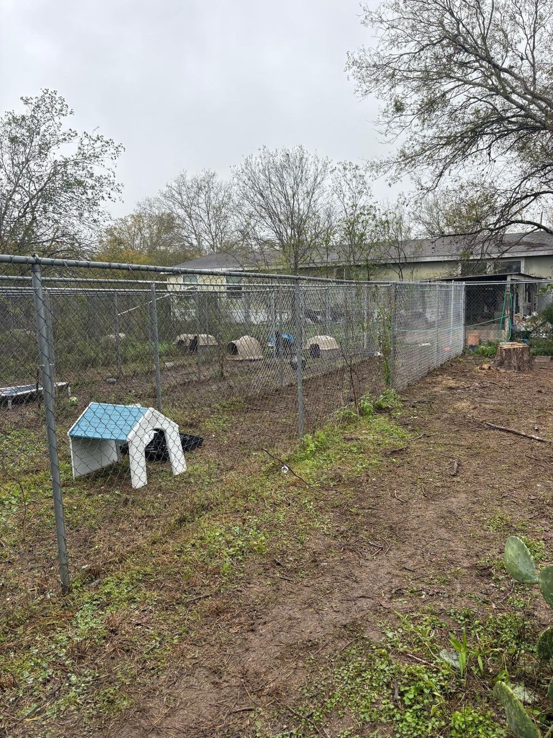 A fenced dog run with a blue dog house, surrounded by dirt and sparse vegetation, under an overcast sky.