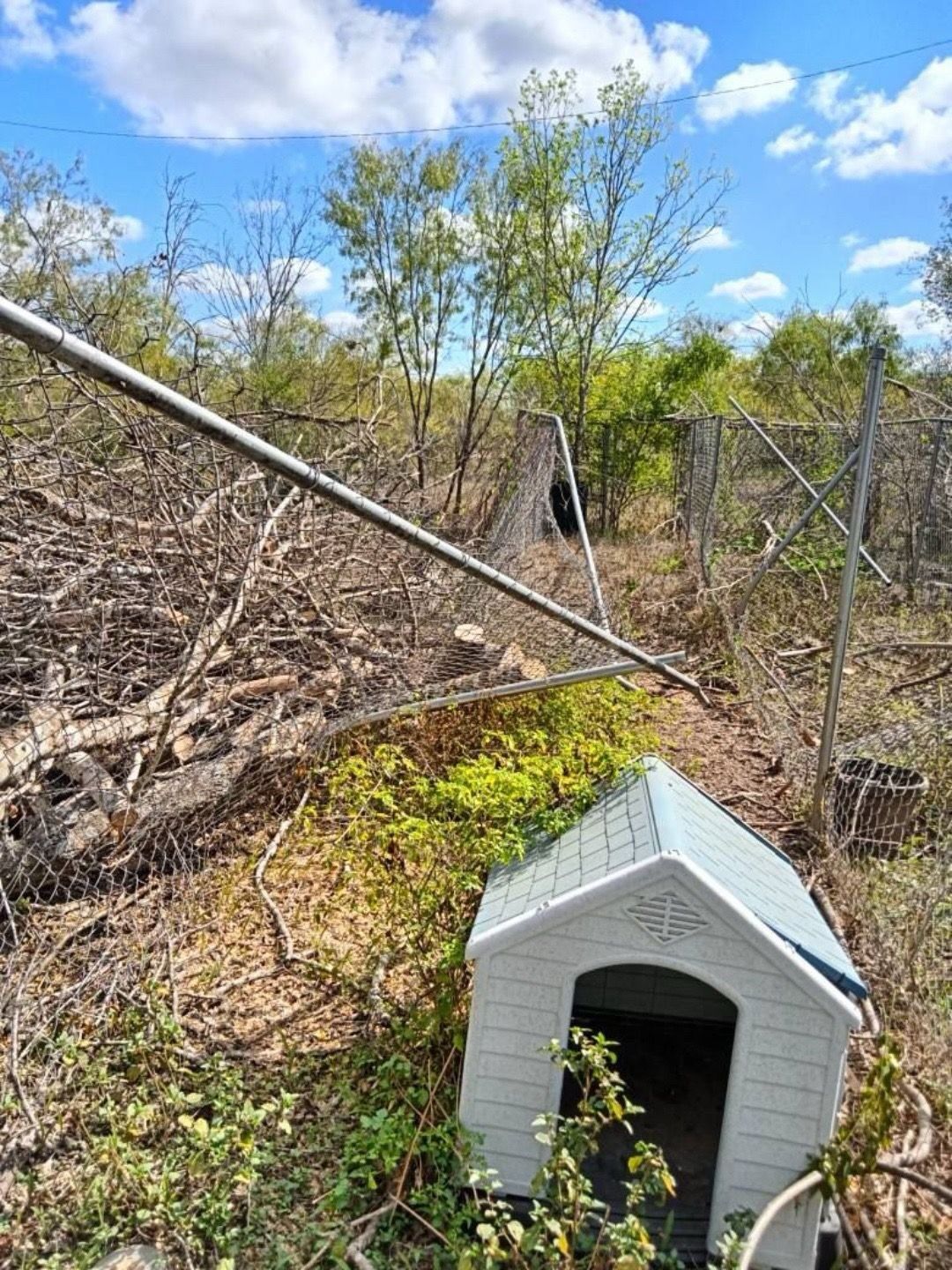 Fallen chain-link fence and doghouse in overgrown area; cloudy blue sky.