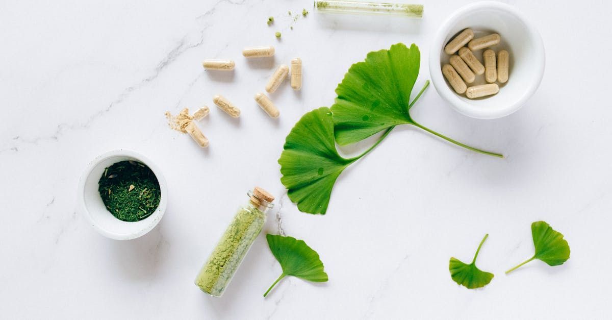 Gingko biloba leaves and capsules on white marble surface with green powder in small bowls.