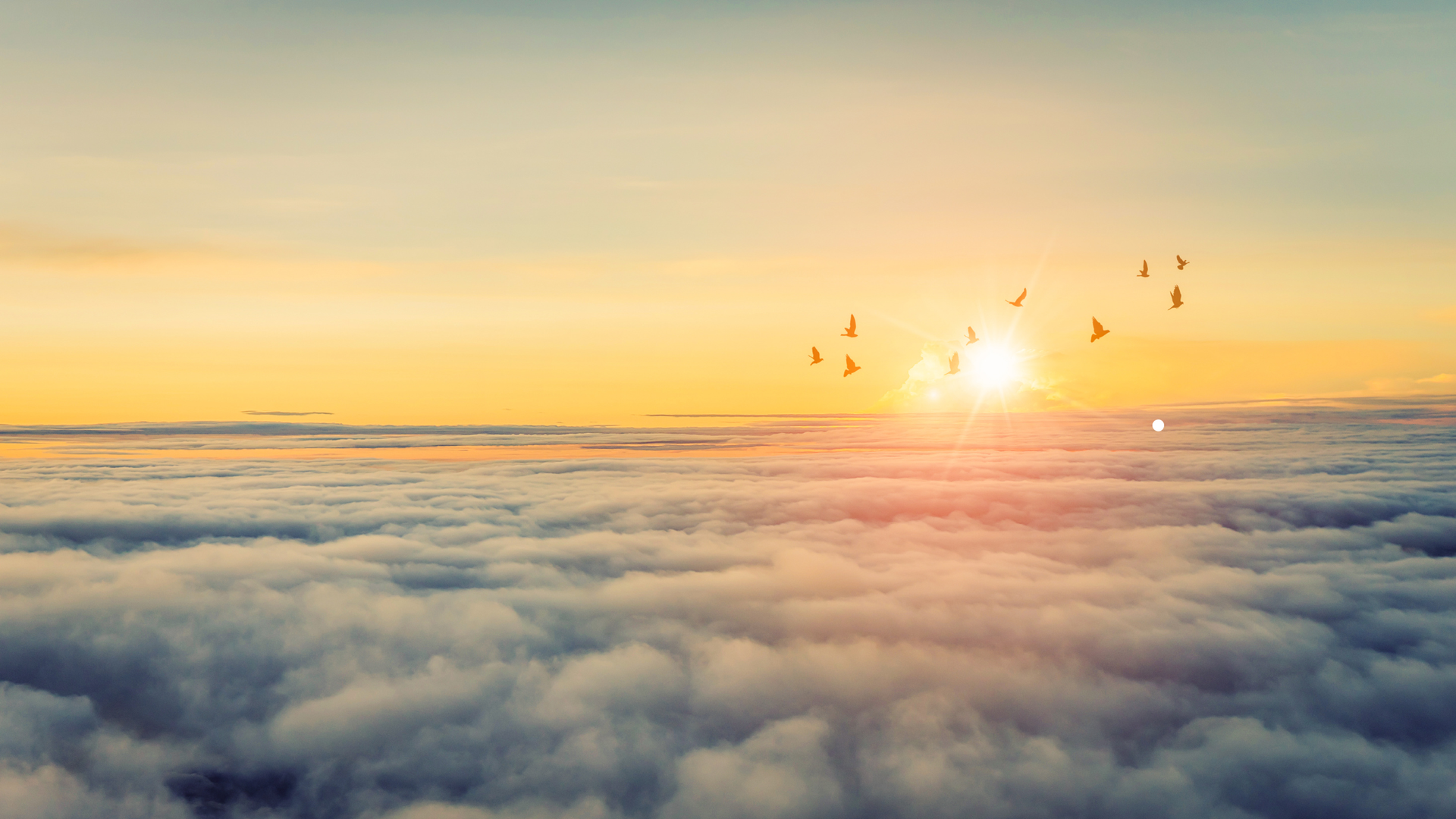 clear sky above the clouds with birds soaring and the sun shimmering in the distance