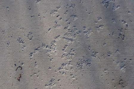 Concrete popouts — Dyer, IN — Pavement Maintenance Solutions, Inc.