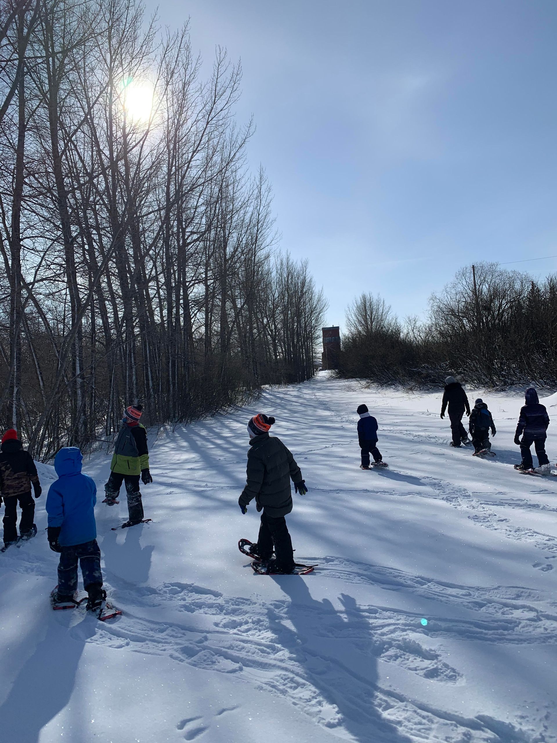 trees and sun Hepburn