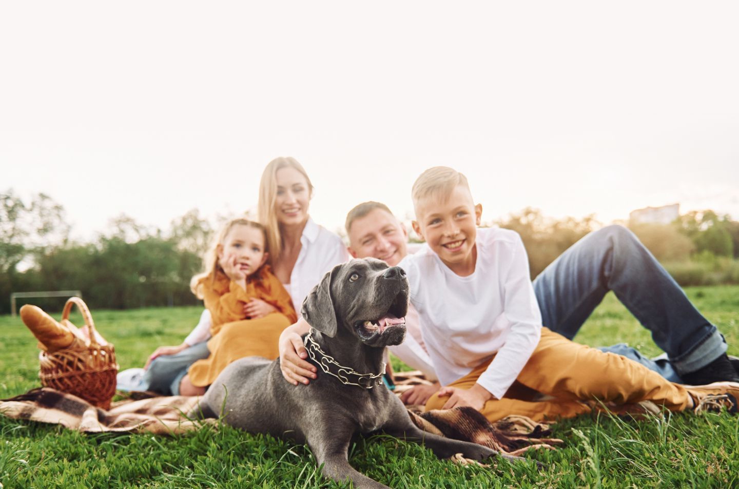 Athens Pet Cremation