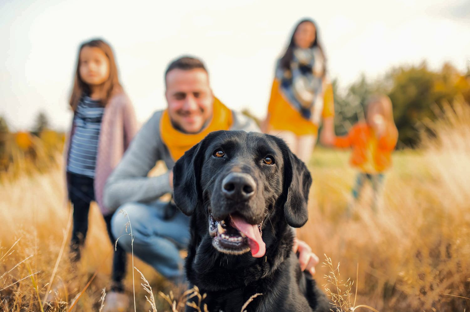 Athens Pet Cremation