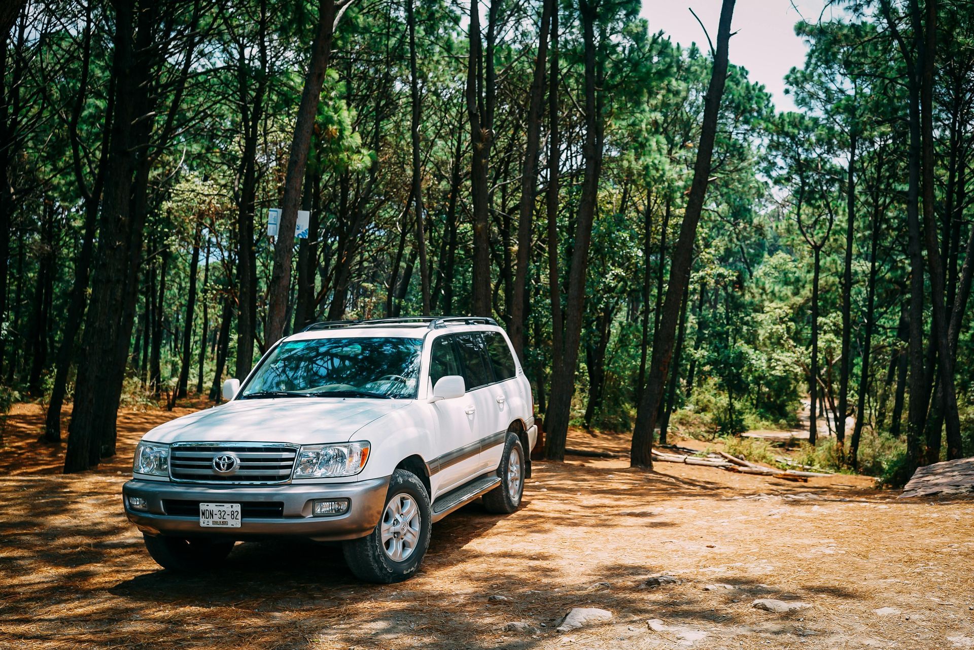 A white suv is parked in the middle of a forest.