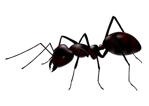 Ant-Control