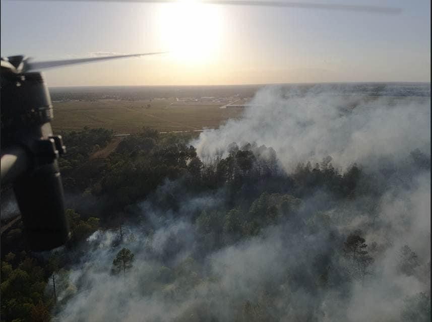 A aerial view a forest with smoke coming out of it
