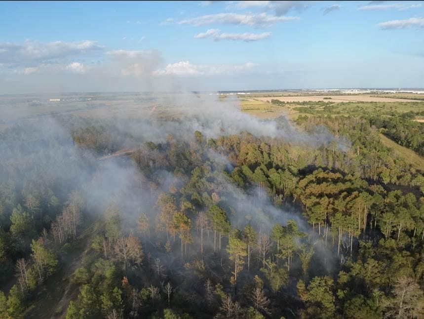 An aerial view of a forest with smoke coming out of the trees.