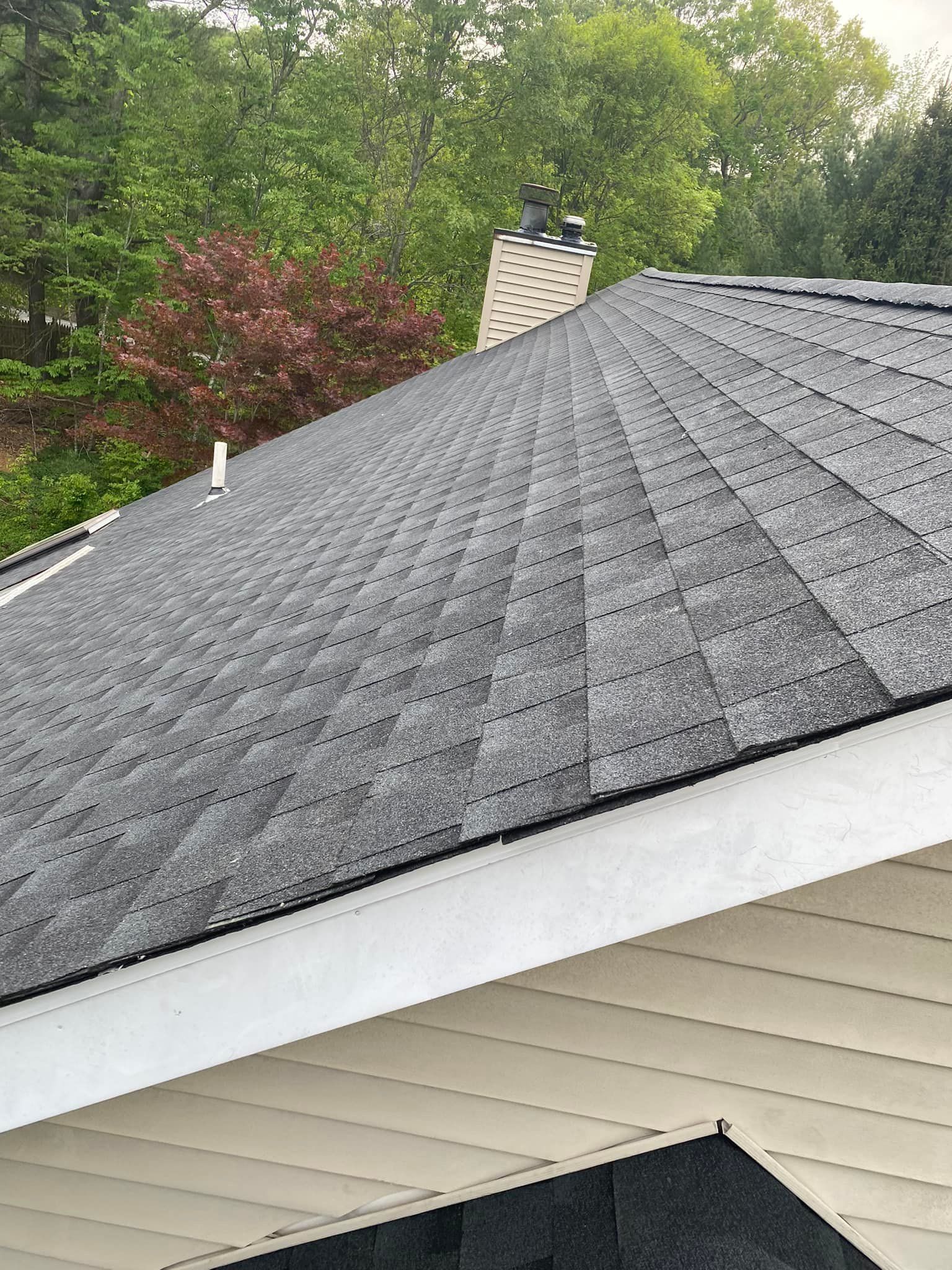 A roof covered in gray shingles, with a white trim and chimney, against a backdrop of green trees.
