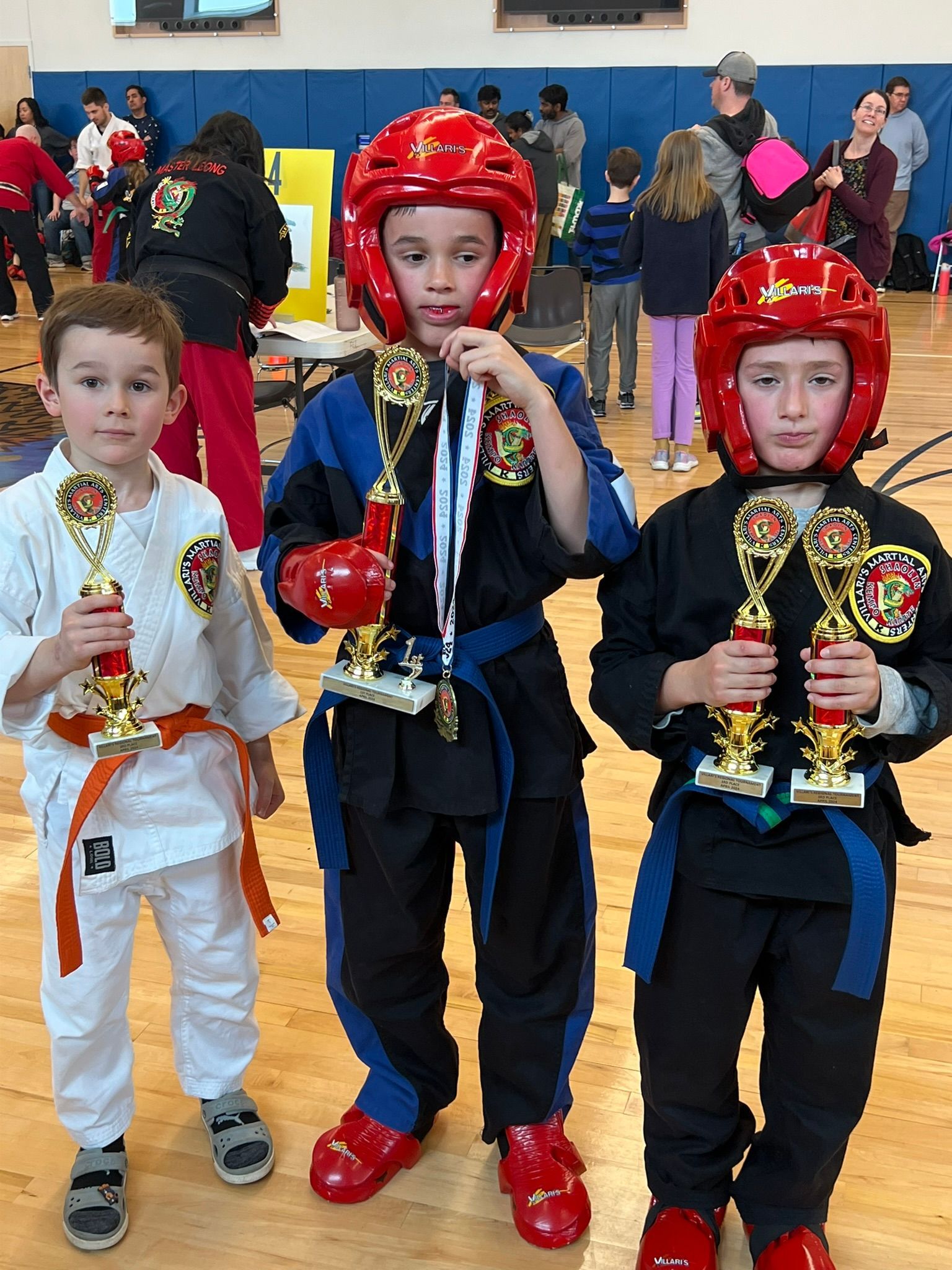 martial arts belt ranks