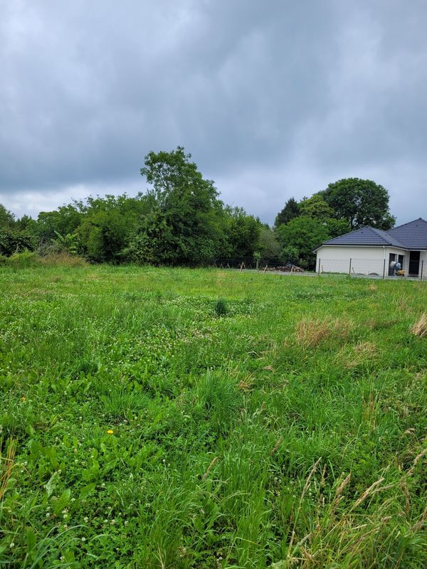 Terrain Limendous, Terrain vue Pyrénées Limendous, Terrain pas cher Soumoulou, Terrain entre Pau et Tarbes 