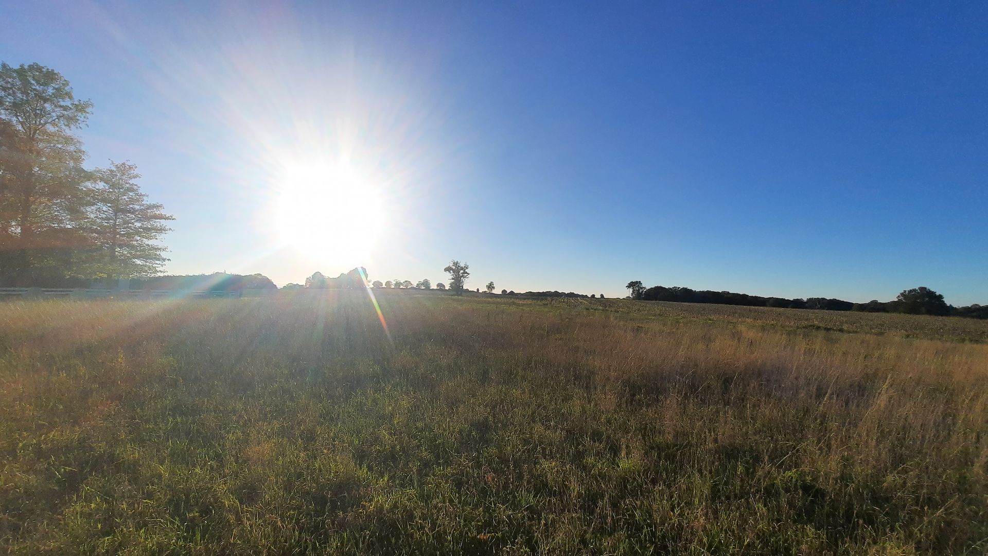 Terrain Maucor, Terrain vue Pyrénées Maucor, Terrain pas cher Soumoulou, Terrain entre Pau et Tarbes, Immo64 Soumoulou 