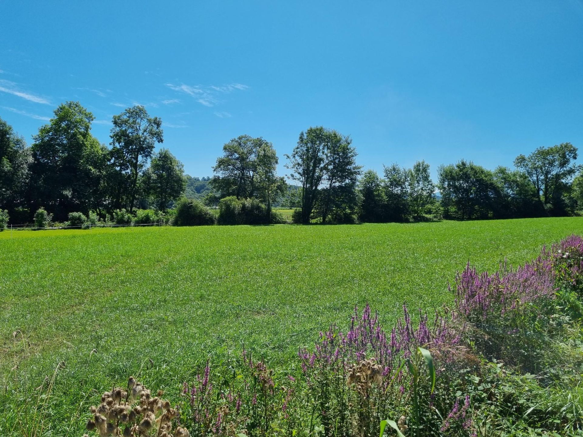 Terrain Barzun, Terrain avec une belle vue Barzun, Terrain Soumoulou, Terrain à côté de Pau, Immo64 Soumoulou