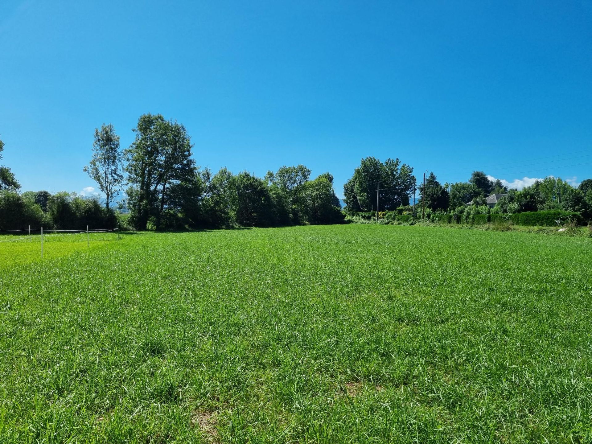 Terrain Barzun, Terrain avec une belle vue Barzun, Terrain Soumoulou, Terrain à côté de Pau, Immo64 Soumoulou