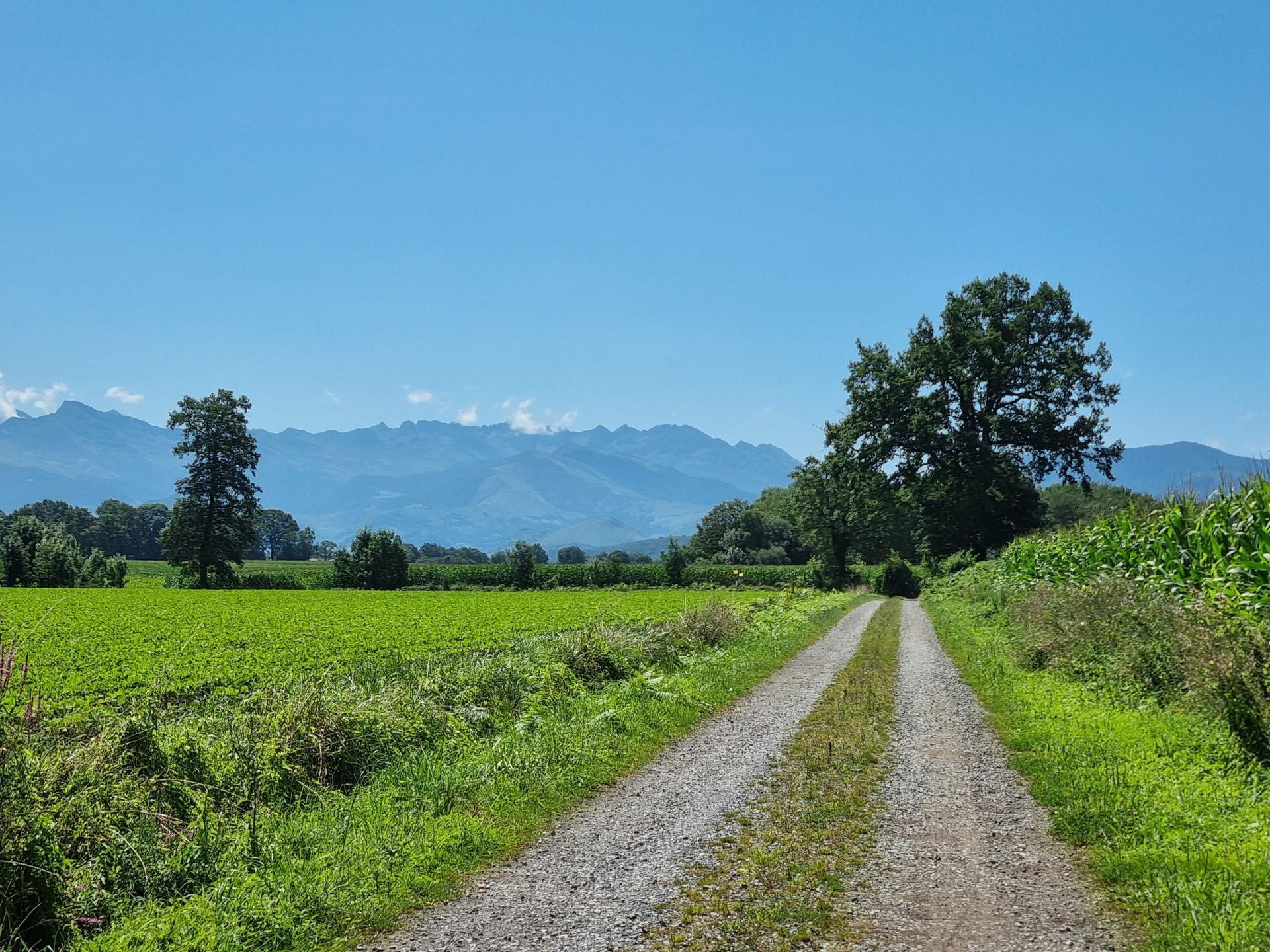 Terrain Barzun, Terrain avec une belle vue Barzun, Terrain Soumoulou, Terrain à côté de Pau, Immo64 Soumoulou