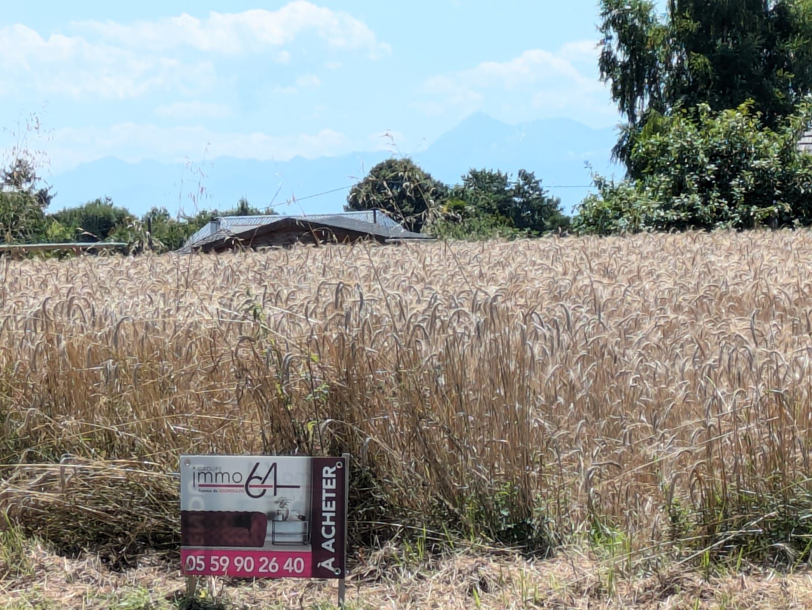 Terrain Sedze-Maubecq, Terrain Sedze-Maubecq pas cher, Estimation gratuite Sedze-Maubecq, Immobilier Soumoulou