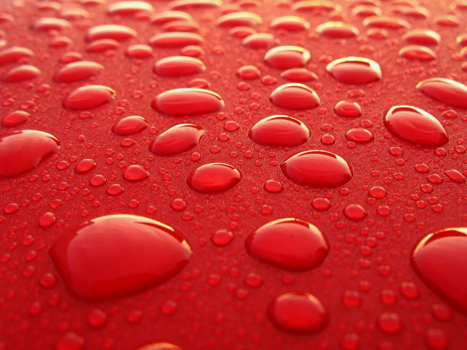 Ceramic Shine image of red car with water droplets