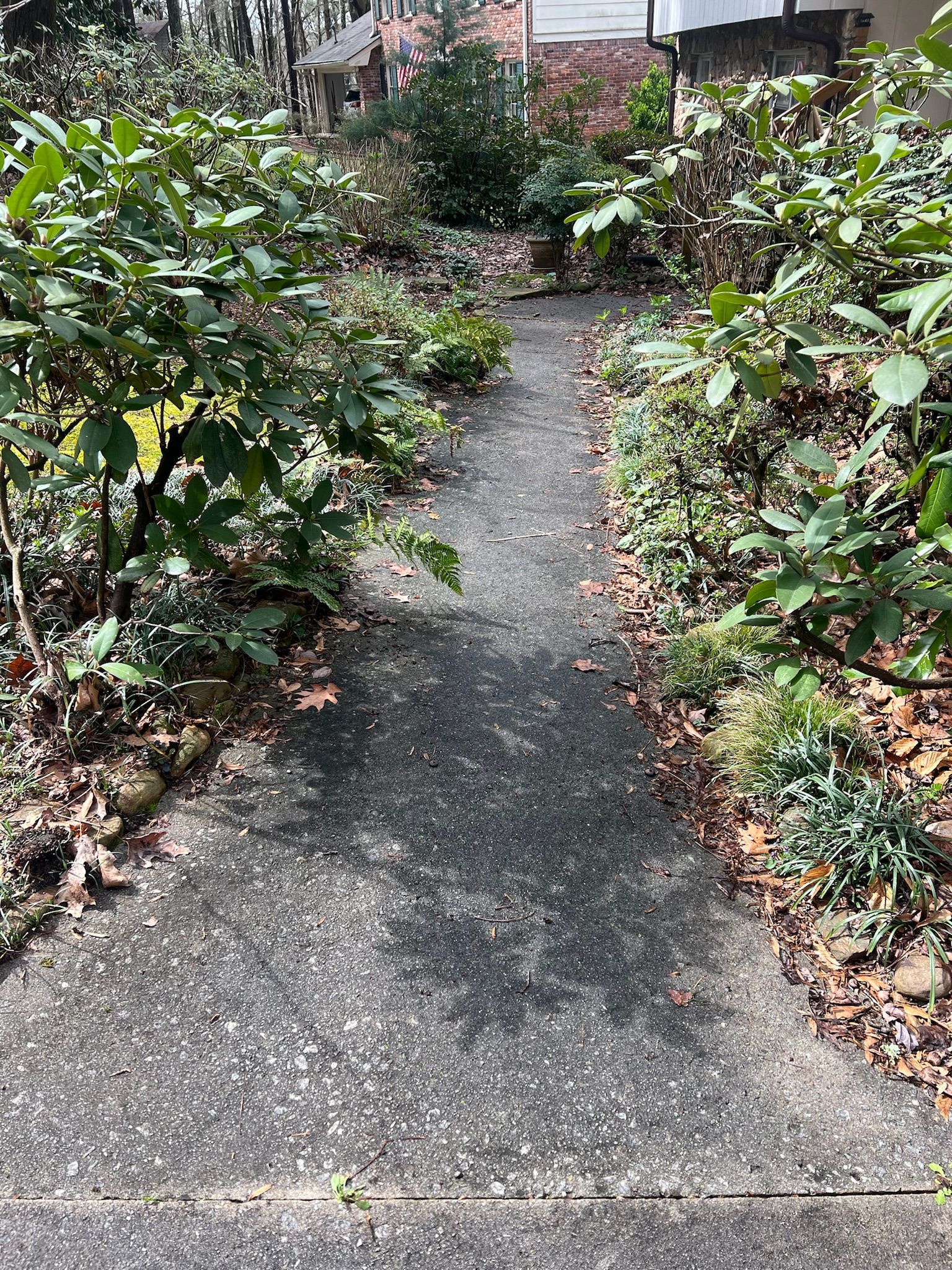 A path surrounded by trees and leaves leading to a house.