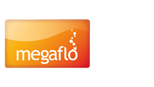 Megaflo Service London Eco