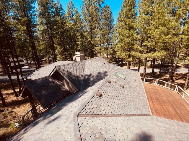 Overhead view of a house roof with asphalt shingles surrounded by tall pine trees and a wooden deck.