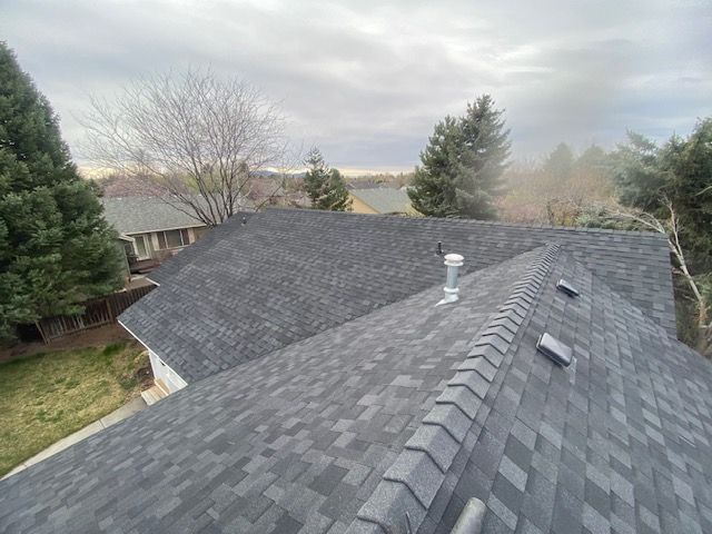 Dark gray asphalt shingle roof on a house, overcast sky above, with trees in the background.