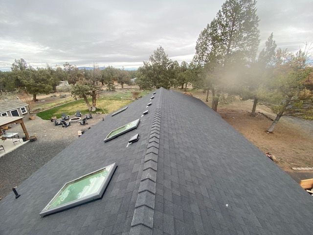 Dark shingle roof with skylights, surrounded by trees and overcast sky.