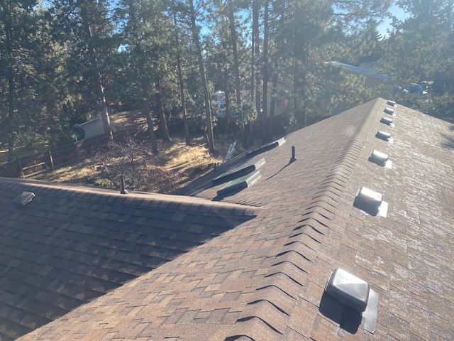 Brown shingled roof with multiple skylights and vents, trees in background. Bright, sunny day.