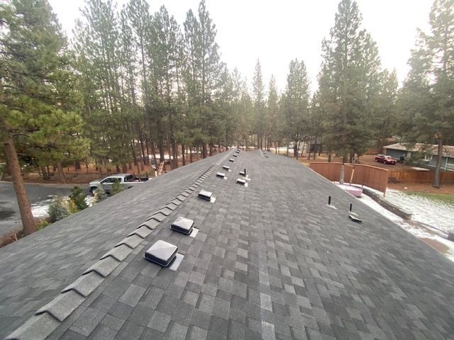 A shingled roof with multiple vents, surrounded by trees and a hint of snow.