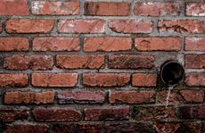 Brick wall with a black pipe, possibly a drain, from which water drips.